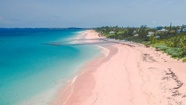 bahamas lead